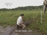 自然传奇 《自然传奇》 20141021 美洲超级动物大比拼（上）