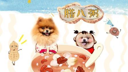 宠爱厨房 第一季 博美教你熬一锅喷香软糯的腊八粥
