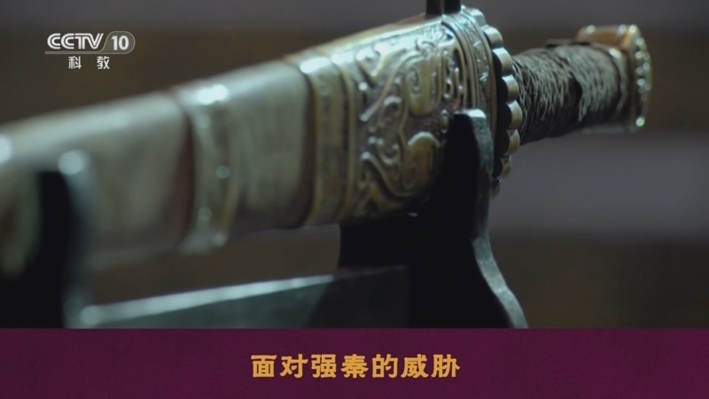 百家讲坛 《百家讲坛》 20240608 先秦史话 5 窃符救赵
