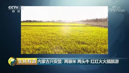 生财有道 《生财有道》 20190709 内蒙古兴安盟：两袋米 两头牛 红红火火搞旅游