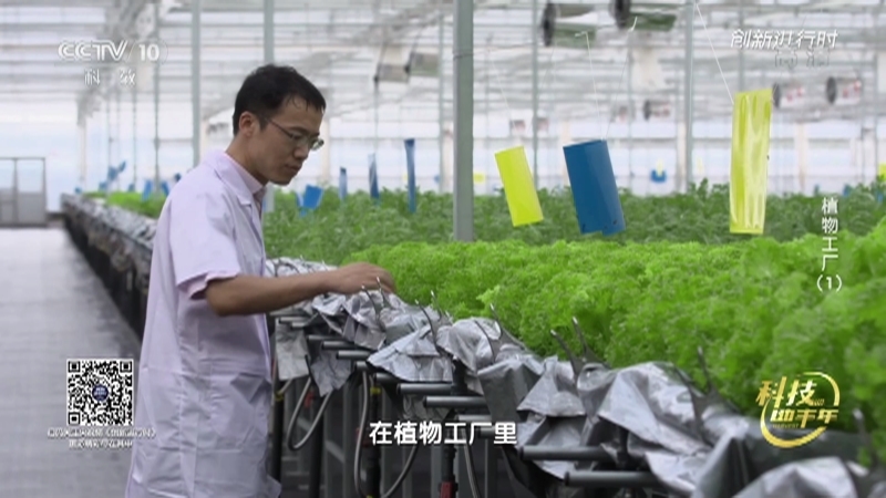 《创新进行时》 20210216 科技助丰年·植物工厂（1）