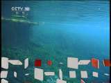 自然传奇 天生杀手之死亡陷阱 自然传奇20110114