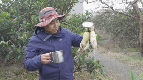 路上捡到的萝卜不要急着吃...