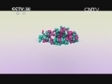 智慧树 《智慧树》 20141105
