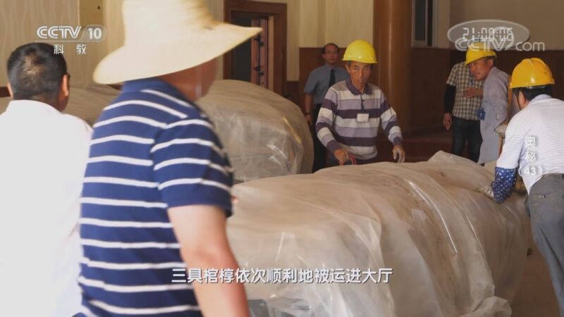 奥秘 《奥秘》 20200916 （43）