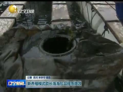 辽宁新闻 《辽宁新闻》 20140818