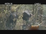 生财有道 《生财有道》 20140422 巴米牛：“高原孤岛”新财源