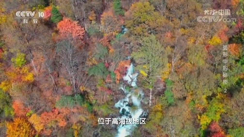 地理中国 《地理·中国》 20200310 弧形中的秘密 2