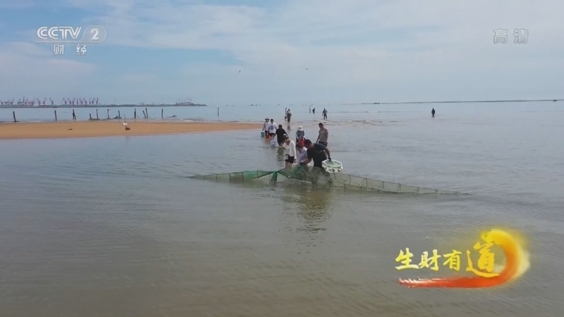 生财有道 《生财有道》 20221012 生态中国沿海行——山东日照：赶海开盲盒 匠心海味道