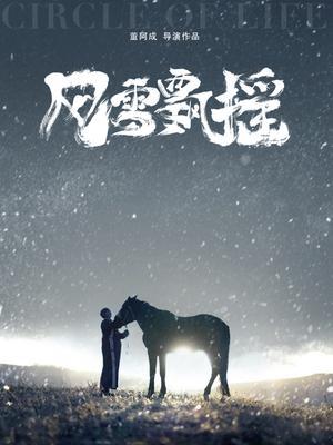 风雪飘摇 海报