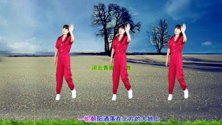 流行DJ广场舞及教学 第三季 简单动感广场舞《北方我的家乡》32步教学