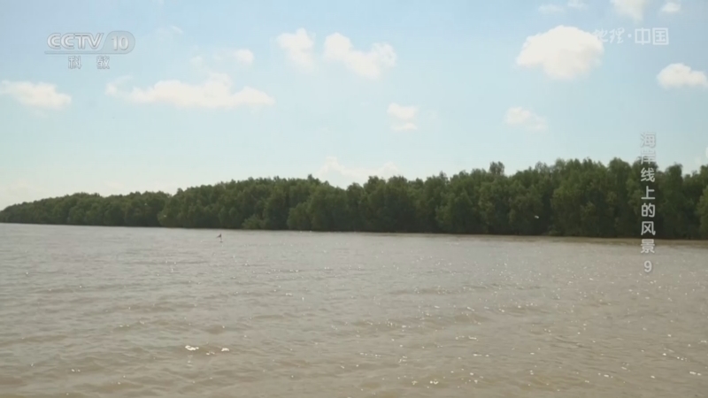 《地理·中国》 20260310 海岸线上的风景9