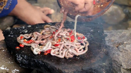 电影《流浪地球》，地下城的人都在吃蚯蚓干，它的秘密你知道吗？