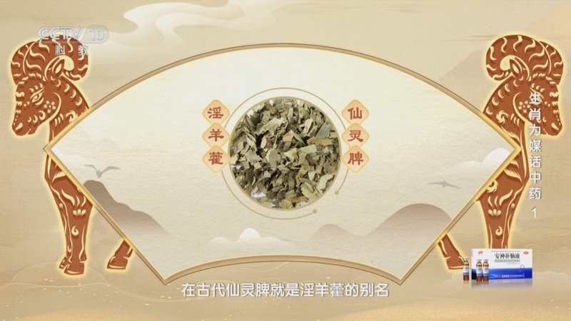 健康之路 《健康之路》 20241104 生肖为媒话中药 1