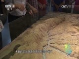 文化十分 《文化十分》 20150710