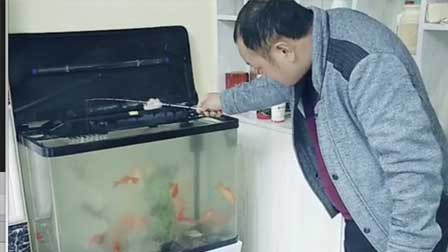 无聊在家里钓鱼
