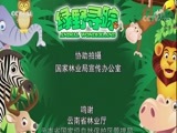 绿野寻踪 《绿野寻踪》 20180425