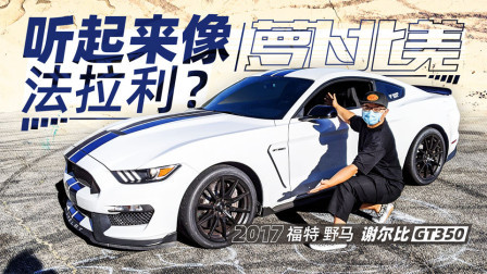 萝卜报告 2020 野马抄袭法拉利？全国仅1台的谢尔比GT350