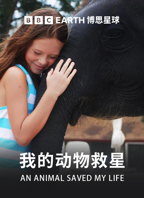 我的动物救星（An Animal Saved My Life）