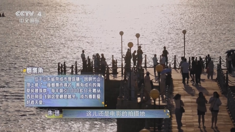 《花开又一程》 20251205