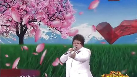 中央电视台春节联欢晚会 2011 歌曲《众里寻你》韩红