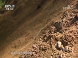 军事纪实 《军事纪实》 20180601 墨脱有位兵老师（下）