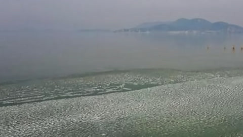 小强热线20210314
