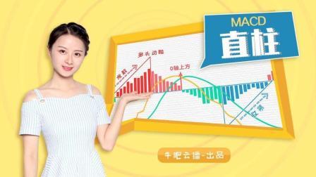 沐有话说 K线 MACD之直柱