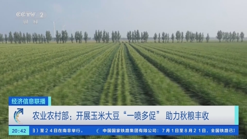 经济信息联播 《经济信息联播》 20230822