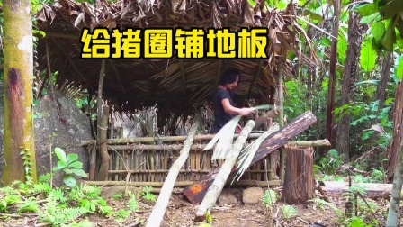 原始丛林人苏门答腊 第二季 丛林荒野求生，给猪圈铺上木地板，小猪高兴坏了！