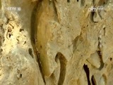 地理中国 《地理中国》 20161208 天赐神泉（上）
