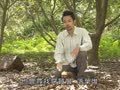 动物大明星 动物大明星 甲虫
