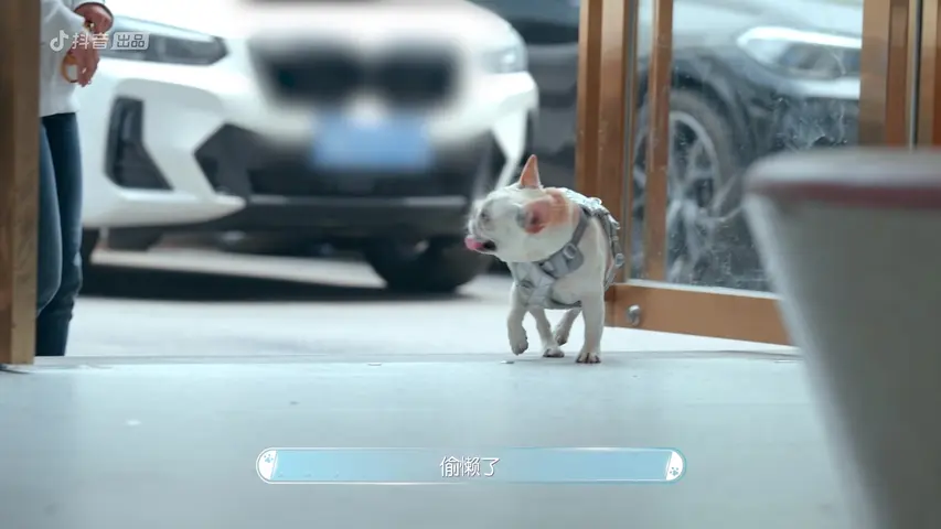 《宠物医生第二季》第4期