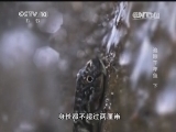 地理中国 《地理中国》 20140329 追踪千年鱼（下）