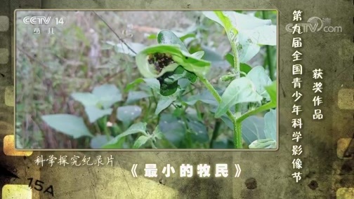芝麻开门【央视】 《芝麻开门》 20190729