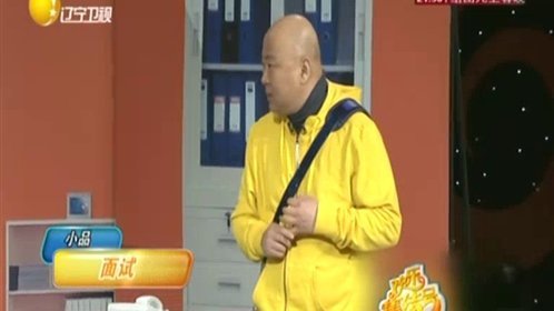 欢乐集结号 鹦鹉与猫咪