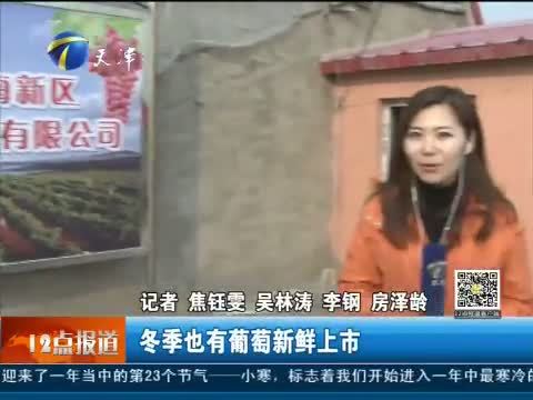 12点报道 《12点报道》 20150106