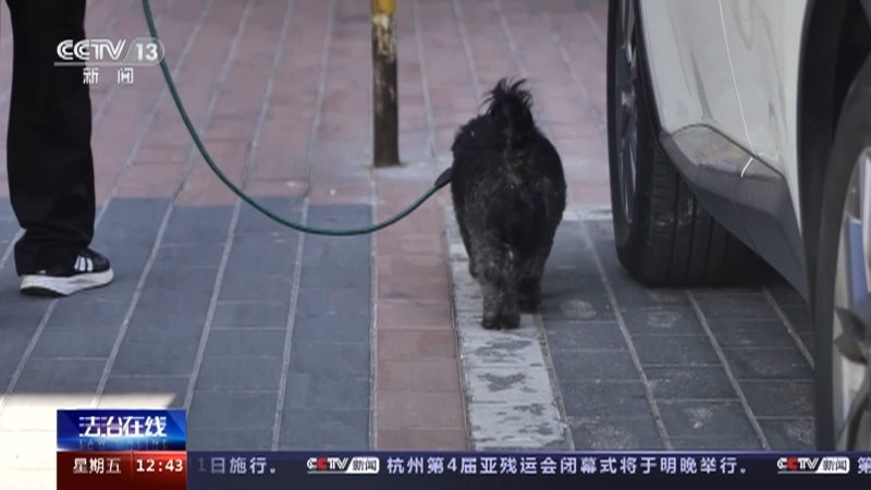 法治在线 《法治在线》 20231027