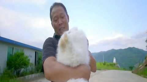 与梦想合拍 “兔管家”的致富历险记