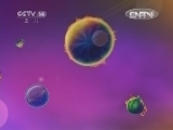智慧树 《智慧树》 20120806
