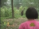 新闻袋袋裤 《新闻袋袋裤》 20140922