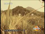 道德观察 消失的丈夫 （上）