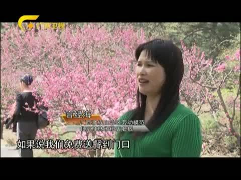 走南闯北广西人 《走南闯北广西人》 20140203 天等人：一碗米粉闯京城（三）