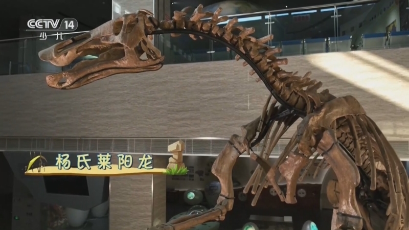 《动感特区》 20251226 大器我成