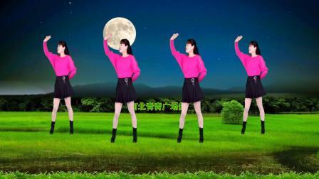 最新32步广场舞《走天涯》大气动感