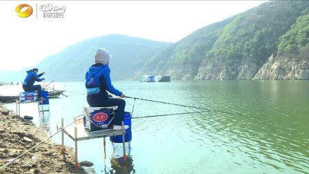 就这样钓鱼：用饵有讲究，春钓鲫必看这篇！