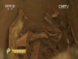 生财有道 《生财有道》 20150702 2015农家乐（第二季）——朝鲜族风情农家乐