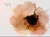 生财有道 生财有道 2011-05-07