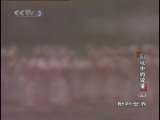 动物世界 动物世界 围城中的较量（三）
