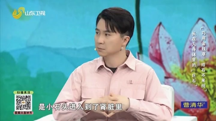 大医本草堂 巧用金钱草，结石不找来